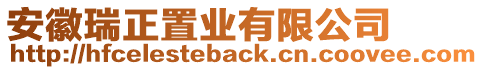 安徽瑞正置業(yè)有限公司