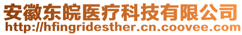 安徽東皖醫(yī)療科技有限公司