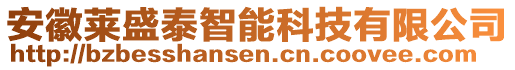 安徽萊盛泰智能科技有限公司