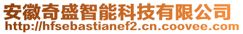 安徽奇盛智能科技有限公司