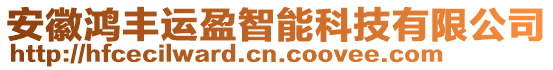 安徽鴻豐運(yùn)盈智能科技有限公司