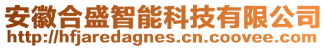 安徽合盛智能科技有限公司