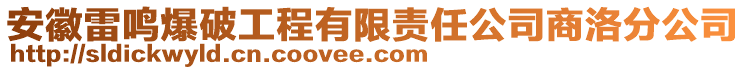 安徽雷鳴爆破工程有限責任公司商洛分公司