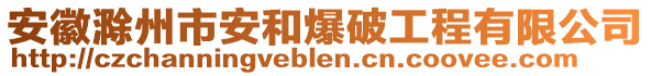 安徽滁州市安和爆破工程有限公司