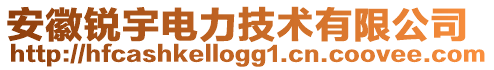 安徽銳宇電力技術(shù)有限公司