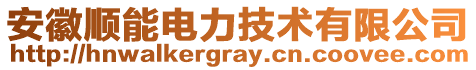 安徽順能電力技術(shù)有限公司