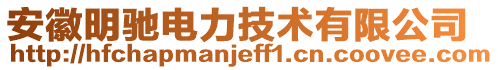 安徽明馳電力技術(shù)有限公司