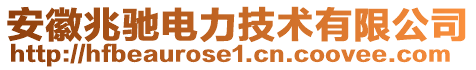 安徽兆馳電力技術(shù)有限公司