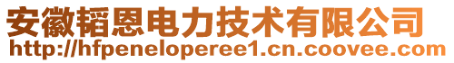 安徽韜恩電力技術有限公司