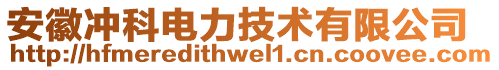 安徽沖科電力技術(shù)有限公司