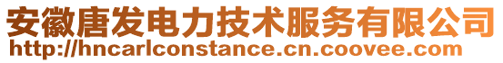 安徽唐發(fā)電力技術(shù)服務(wù)有限公司