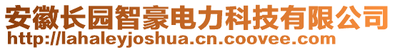 安徽長園智豪電力科技有限公司