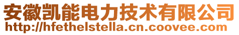 安徽凱能電力技術(shù)有限公司