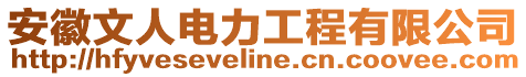 安徽文人電力工程有限公司