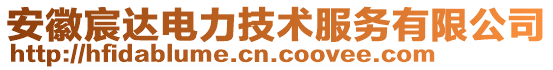 安徽宸達電力技術(shù)服務(wù)有限公司