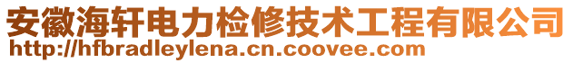 安徽海軒電力檢修技術(shù)工程有限公司