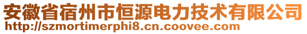 安徽省宿州市恒源電力技術(shù)有限公司