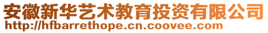 安徽新華藝術教育投資有限公司