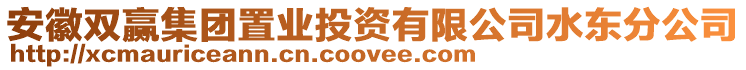 安徽雙贏集團(tuán)置業(yè)投資有限公司水東分公司