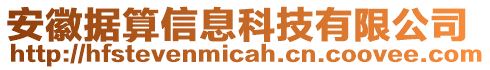 安徽據(jù)算信息科技有限公司