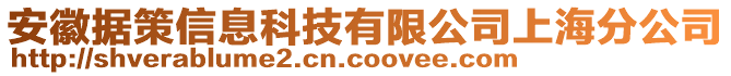 安徽據策信息科技有限公司上海分公司