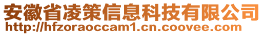 安徽省凌策信息科技有限公司