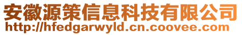 安徽源策信息科技有限公司