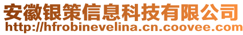 安徽銀策信息科技有限公司