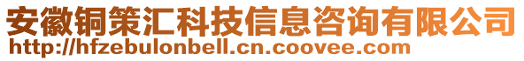 安徽銅策匯科技信息咨詢(xún)有限公司