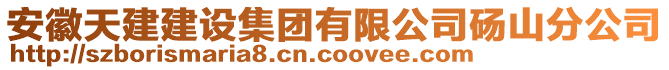 安徽天建建設(shè)集團(tuán)有限公司碭山分公司