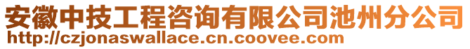 安徽中技工程咨詢有限公司池州分公司