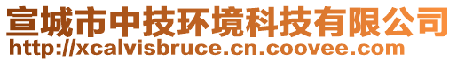 宣城市中技環(huán)境科技有限公司