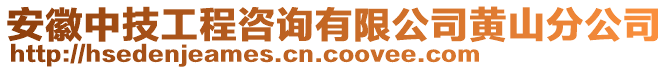 安徽中技工程咨詢有限公司黃山分公司