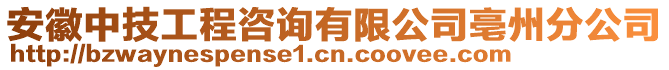 安徽中技工程咨詢有限公司亳州分公司