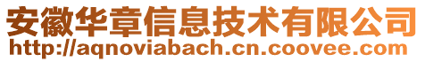 安徽華章信息技術(shù)有限公司