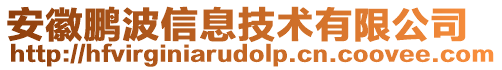 安徽鵬波信息技術(shù)有限公司