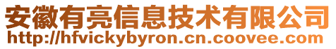 安徽有亮信息技術(shù)有限公司