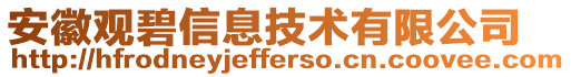 安徽觀碧信息技術(shù)有限公司