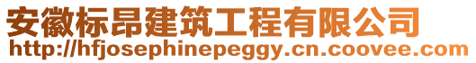 安徽標(biāo)昂建筑工程有限公司