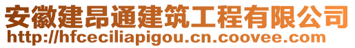 安徽建昂通建筑工程有限公司