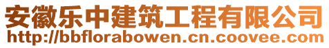 安徽樂中建筑工程有限公司