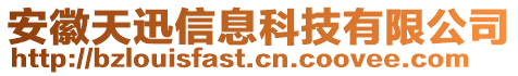 安徽天迅信息科技有限公司