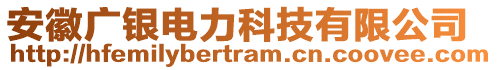 安徽廣銀電力科技有限公司