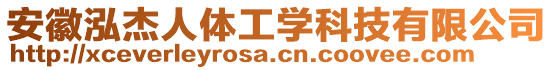 安徽泓杰人體工學(xué)科技有限公司