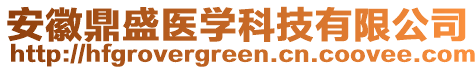 安徽鼎盛醫(yī)學(xué)科技有限公司