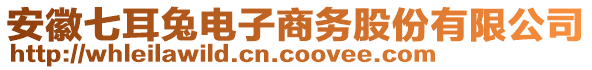 安徽七耳兔電子商務股份有限公司