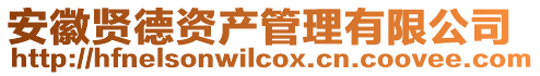 安徽賢德資產管理有限公司