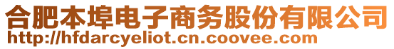 合肥本埠电子商务股份有限公司