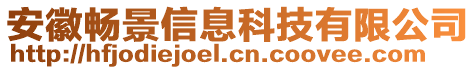 安徽畅景信息科技有限公司