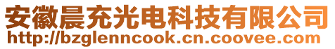 安徽晨充光电科技有限公司